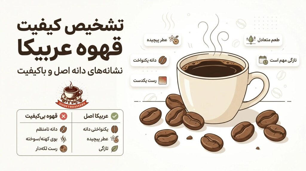 بهترین قهوه عربیکا برای صبحانه ایرانی| راهنمای کامل انتخاب و دم کردن در سال ۱۴۰۵| قهوه عربیکا چیست| ویژگیهای قهوه عربیکا خوب برای صبحانه|بهترین انواع قهوه عربیکا برای ذائقه ایرانی در ۱۴۰۵|طرز دم کردن قهوه عربیکا برای صبحانه ایرانی|نکات مهم انتخاب و نگهداری قهوه عربیکا|سیندی روستری